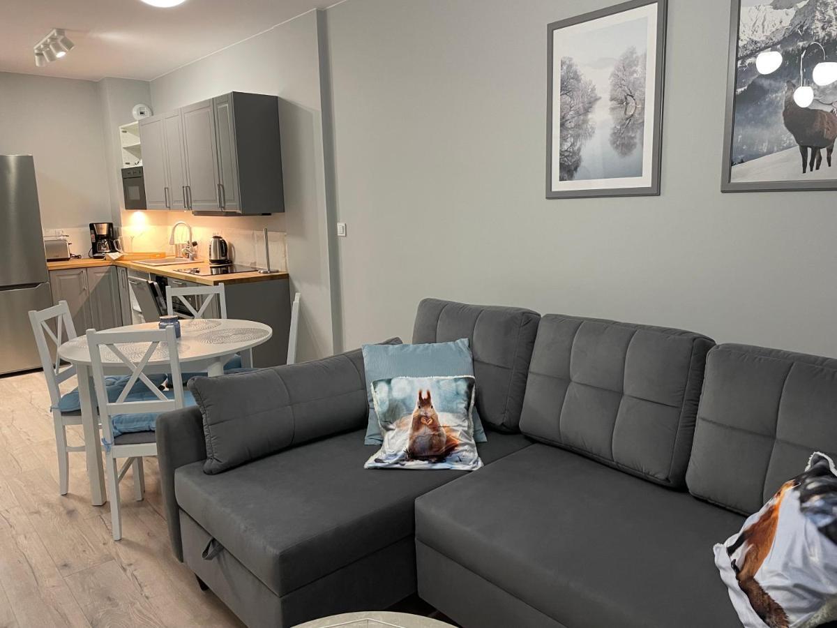 Apartament Silence Karpatia Tanzanit *